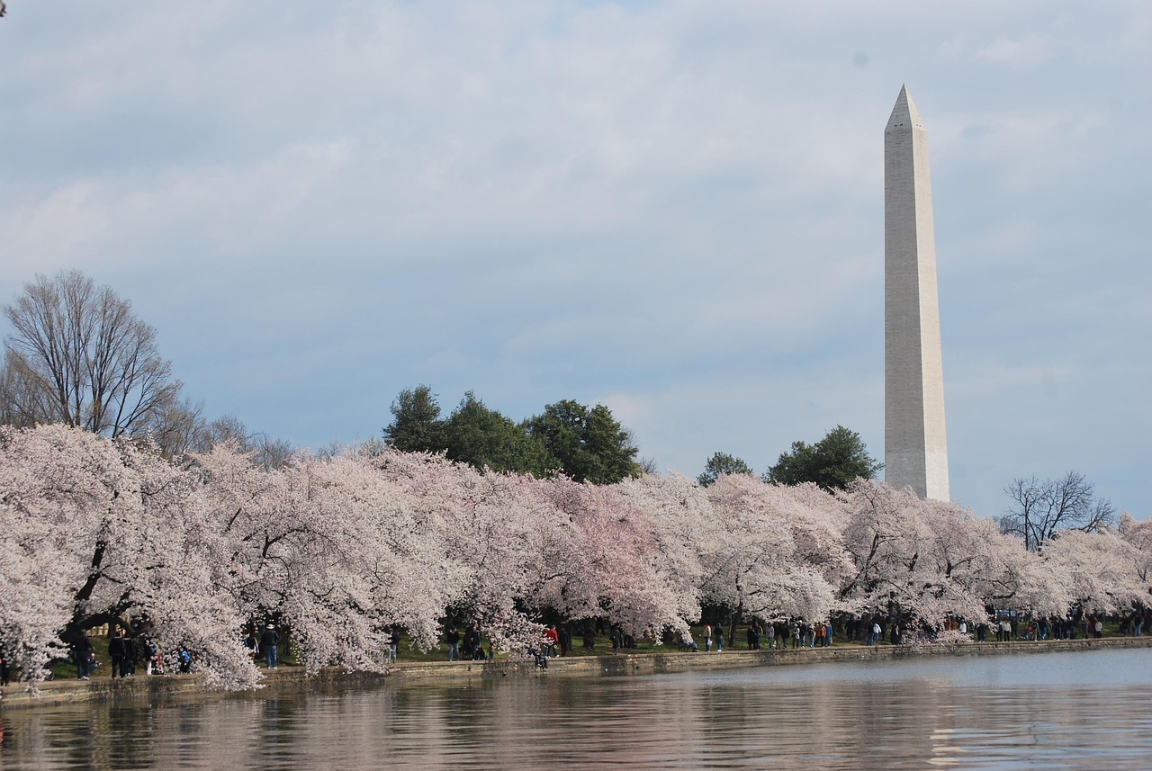 Washington Monument