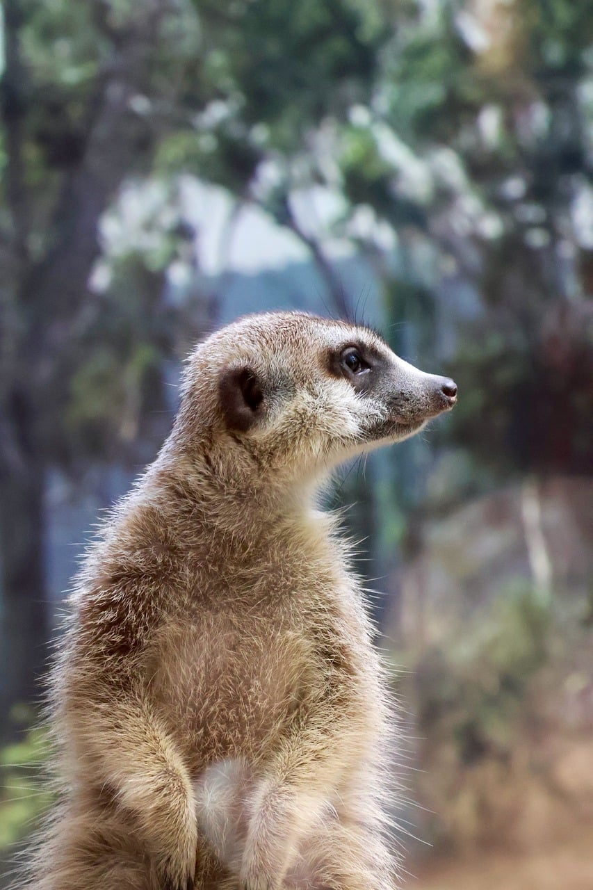 Smithsonian’s National Zoo