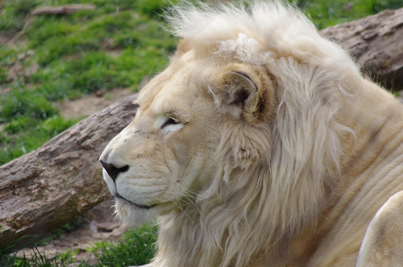Philadelphia Zoo