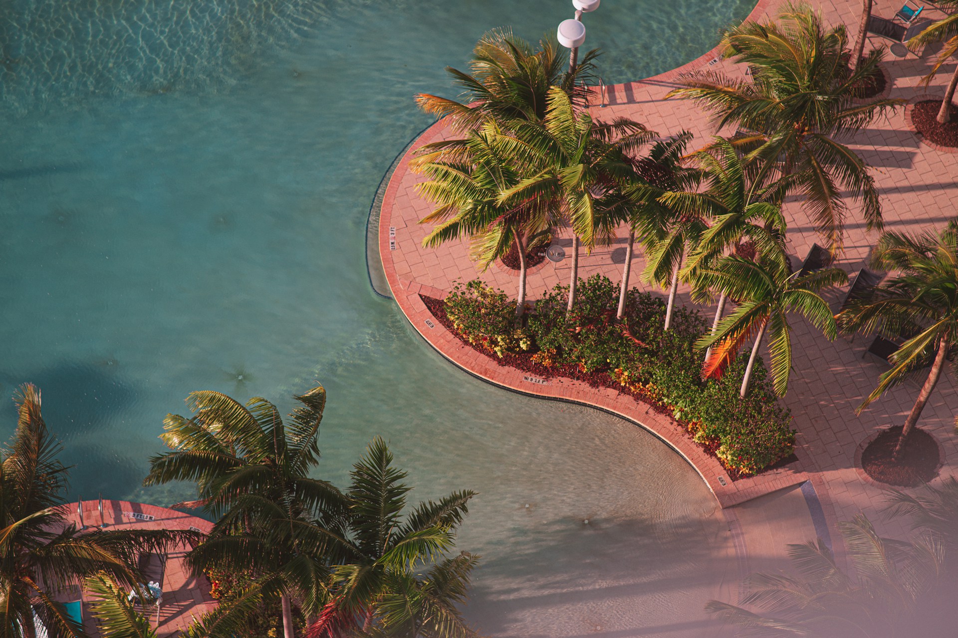 Jungle Island