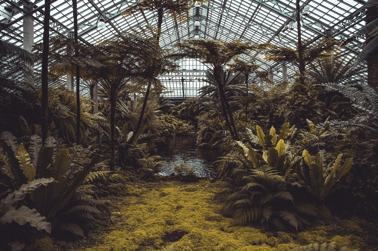 Garfield Park Conservatory