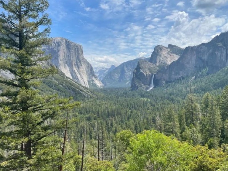 Louis’s Educational Exploration: A Four-Day Adventure Through San Francisco and Yosemite